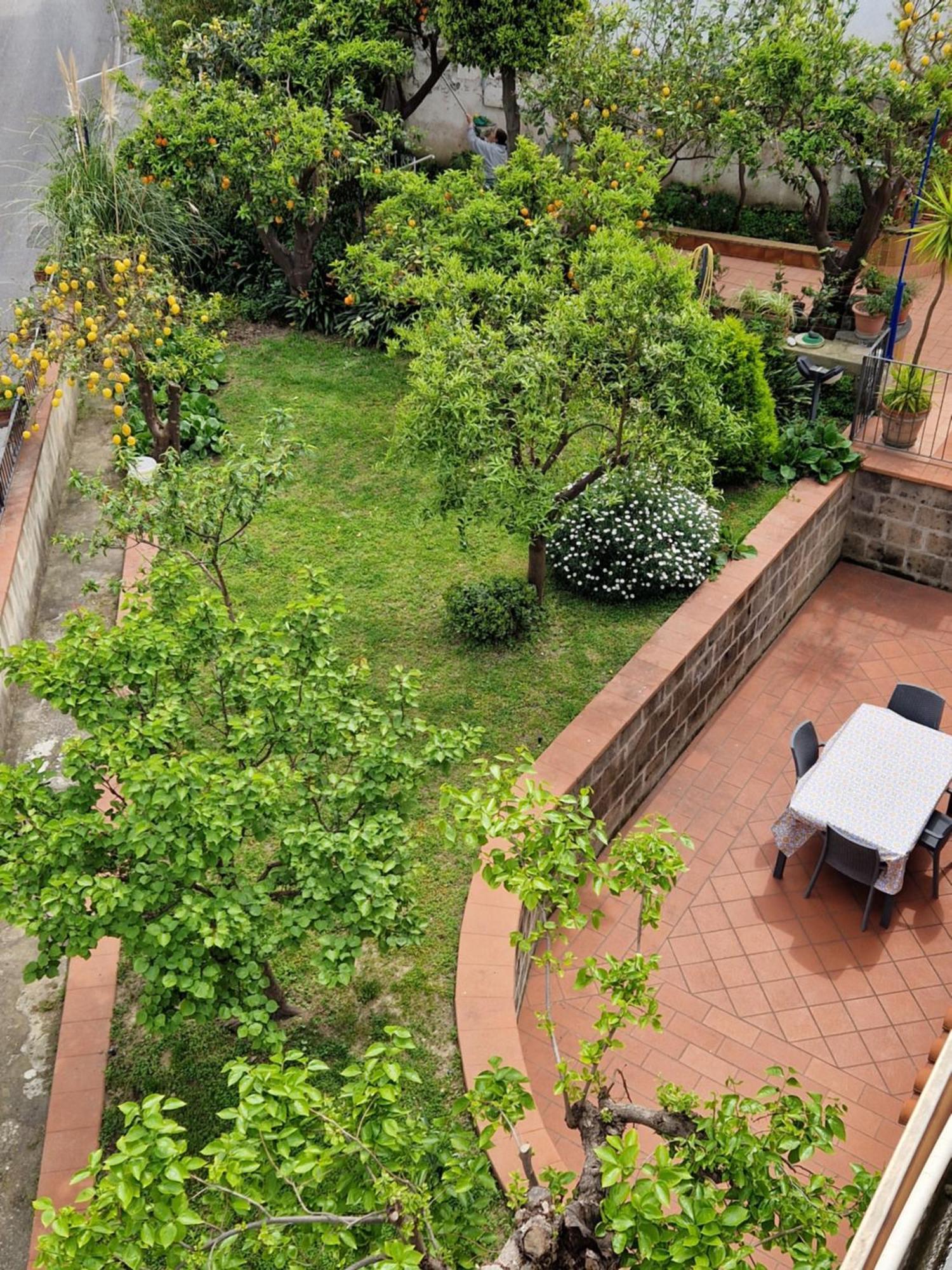 Il Giardino Dei Gigli Meta Exterior foto